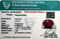ITLGR_100300_CERTIFICATE.webp
