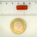 ITLGR_121381_SCALE.webp