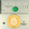ITLGR_102127_SCALE.webp