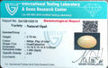 ITLGR_100519_CERTIFICATE.webp