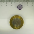 ITLGR_113044_SCALE.webp