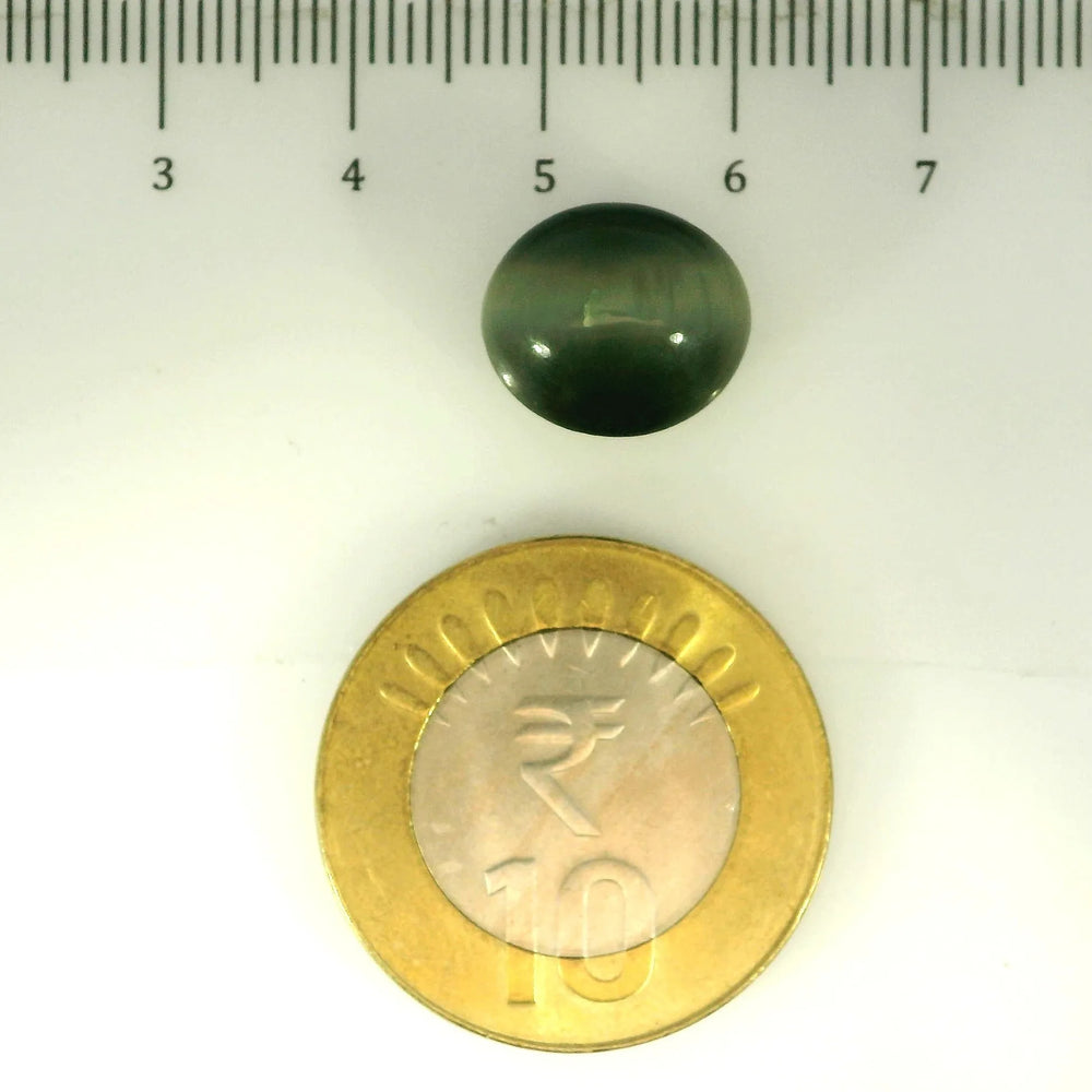 ITLGR_107046_SCALE.webp