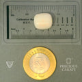 ITLGR_102020_SCALE.webp