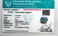 ITLGR_99111_CERTIFICATE.webp