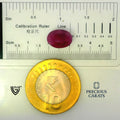ITLGR_100293_SCALE.webp