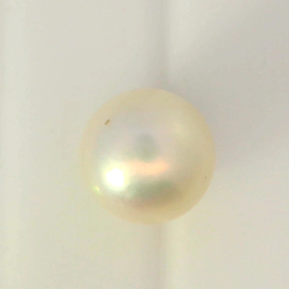 ITLGR_99849_TOP.webp