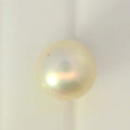 ITLGR_99849_TOP.webp