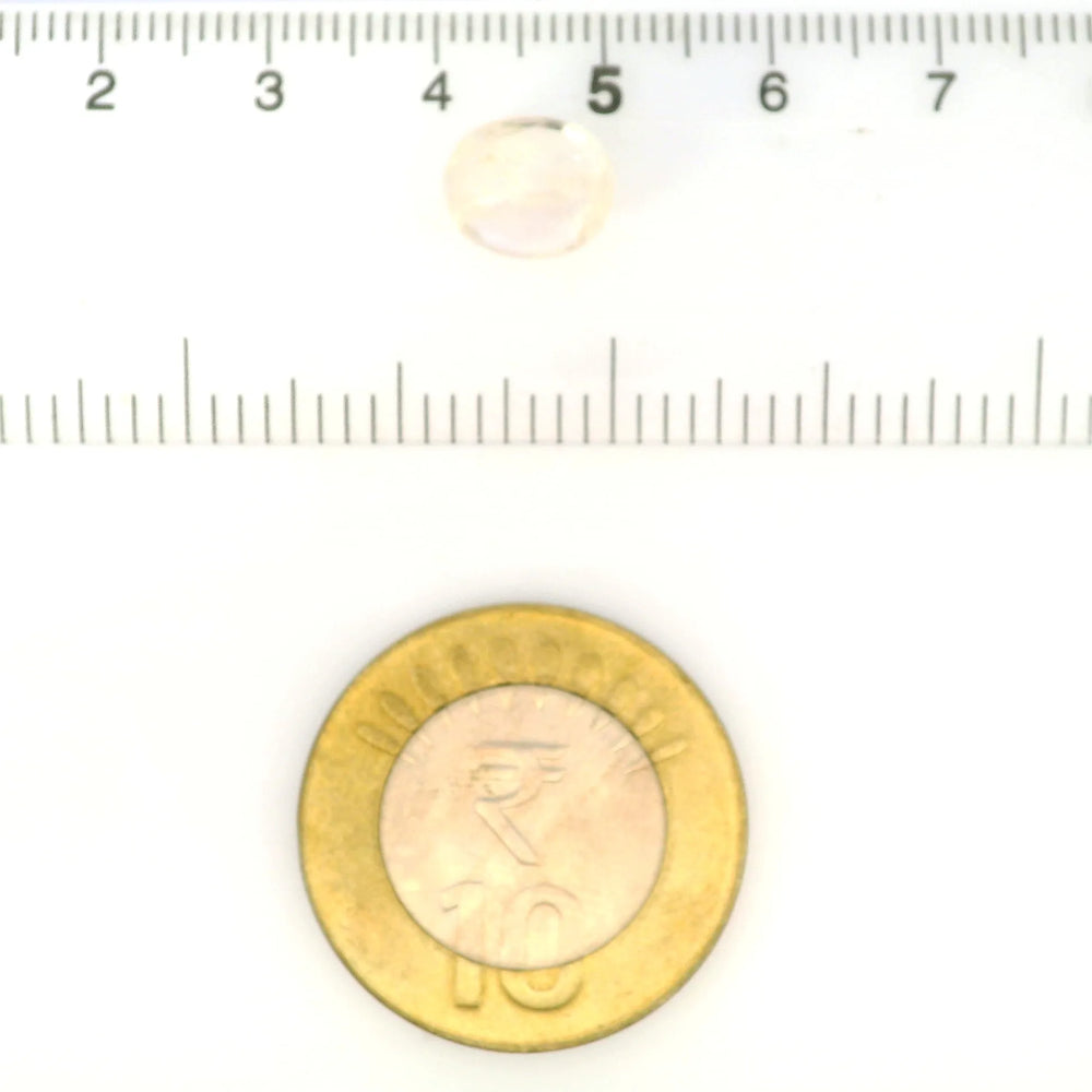 IGITL_211697_SCALE.webp