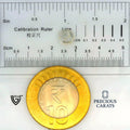 ITLGR_100348_SCALE.webp
