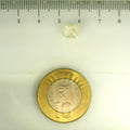 IGITL_200289_SCALE.webp