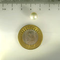 ITLGR_99859_SCALE.webp