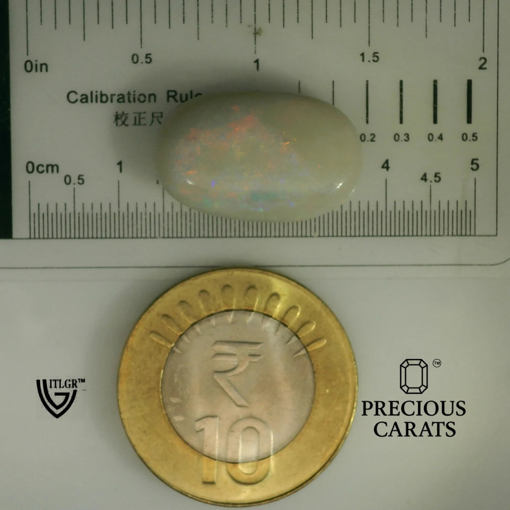 ITLGR_101977_SCALE.webp