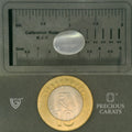 ITLGR_102046_SCALE.webp