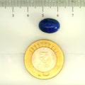 ITLGR_107191_SCALE.webp