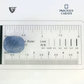 ITLGR_98958_SCALE.webp