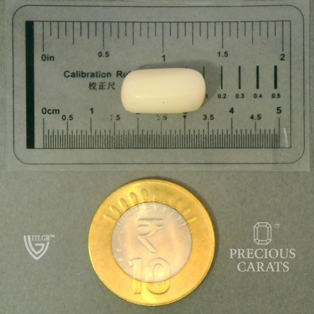 ITLGR_102027_SCALE.webp