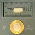 ITLGR_102027_SCALE.webp