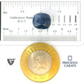 ITLGR_98945_SCALE.webp