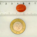ITLGR_121355_SCALE.webp