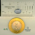 IGITL_197767_SCALE.webp