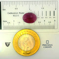 ITLGR_100299_SCALE.webp