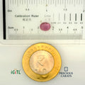 IGITL_200219_SCALE.webp