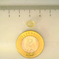 ITLGR_104906_SCALE.webp