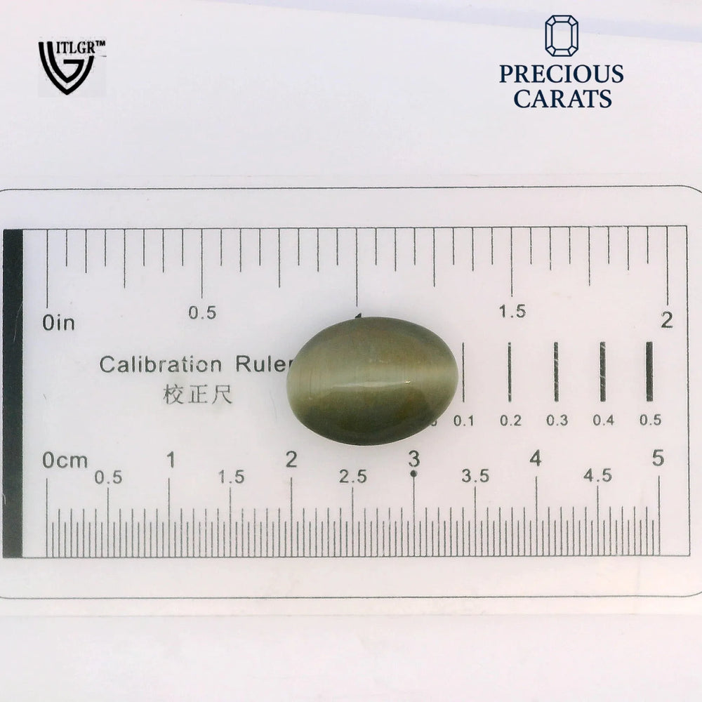 ITLGR_100582_SCALE.webp