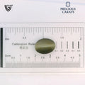 ITLGR_100582_SCALE.webp