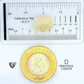 ITLGR_99042_SCALE.webp