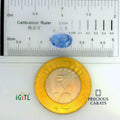 IGITL_197714_SCALE.webp