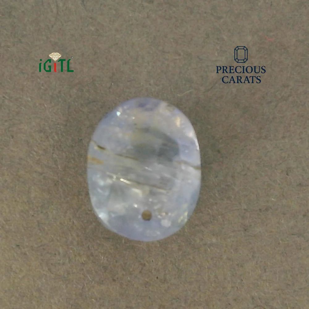 IGITL_200244_TOP.webp