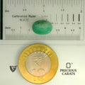 ITLGR_105210_SCALE.webp