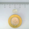 IGITL_200287_SCALE.webp