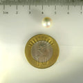 ITLGR_99856_SCALE.webp