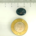 ITLGR_109295_SCALE.webp