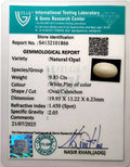 ITLGR_101866_CERTIFICATE.webp