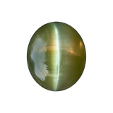 Cats Eye (Lehsunia)